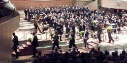 carmen5